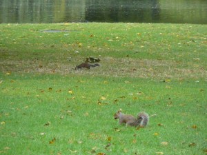 BOB Trip 2008 LDEP 025