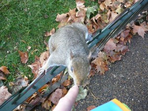 BOB Trip 2008 LDEP 031