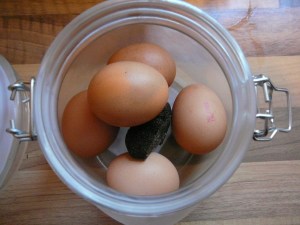 Eggs with the truffle in their airtight jar