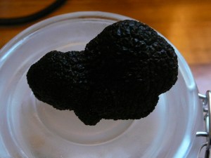 Black Truffle from Bonnes Truffes Southern Highlands NSW