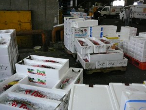 Boxes of fish redy for pick up