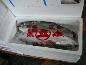 Fish wrapped and iced for delivery