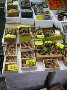 For these prices I hope they have a little 'magic' included