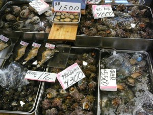 Molluscs galore