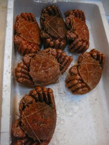 Hairy crabs