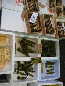 Wasabi and other vegetables