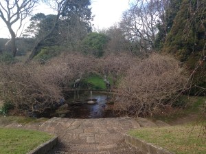 One of the ponds in the gardens