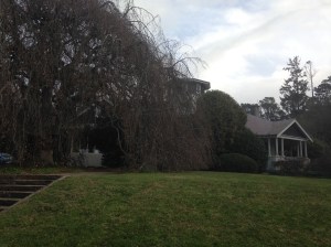 Exterior, Milton Park