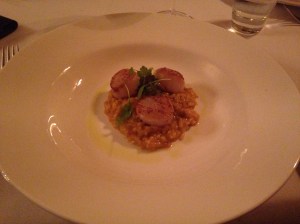 Saffron risotto with seared scallops