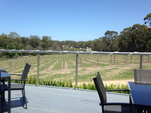Vines, Cassegrain Winery