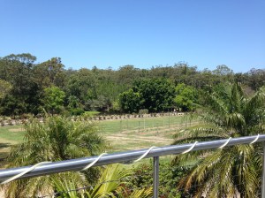 Vines, Cassegrain Winery