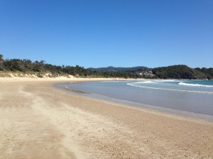 Digger's Beachlooking along the beach
