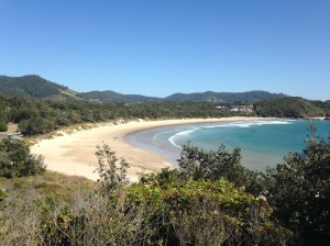 Digger's Beach from the headland