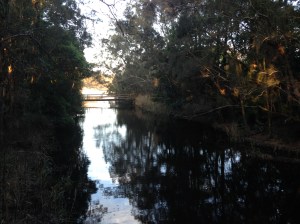 Mysterious looking creek