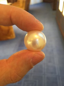The Paspaley Pearl
