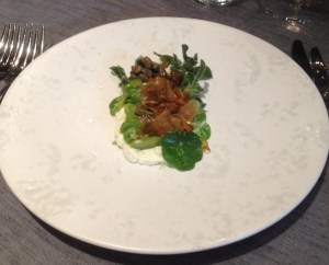 Spring ewe's milk curd, broad beans, caper and freekah crumb, apple, nasturtium, purslane