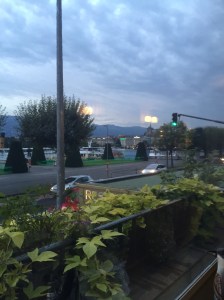 View from the terrace