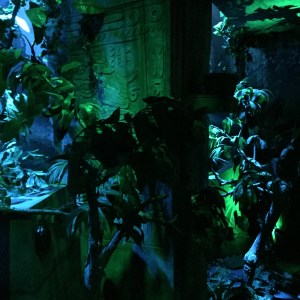 Aztec room, Maison Cailler tour