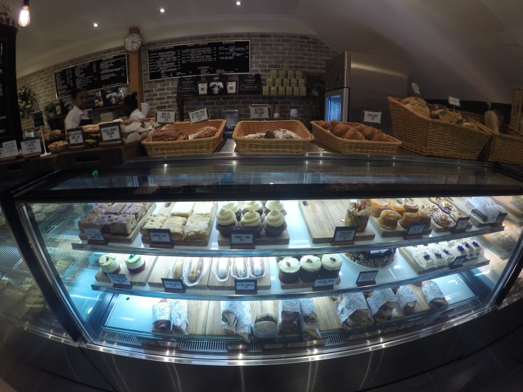 DCIM101GOPROGOPR0168.