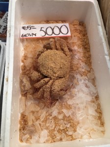 Crab (hairy?)