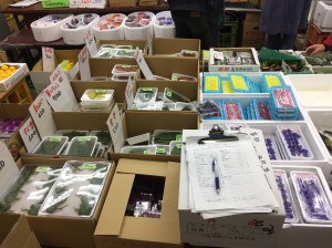 All the flowers are edible varieties for garnishing