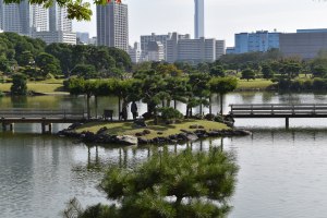 View of Kono-ji-shima
