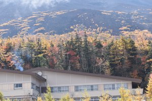Autumn colours at Mt Fuji 5th Station
