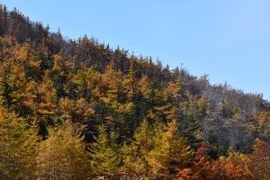 Autumn colours at Mt Fuji 5th Station