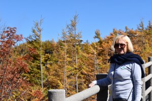 Autumn colours at Mt Fuji 5th Station