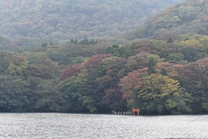 Torii, Lake Ashi