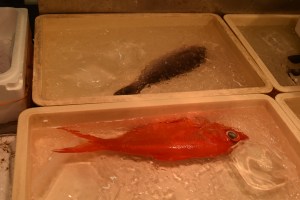 Orange fish is Kinmedai, I think the other was Fugu