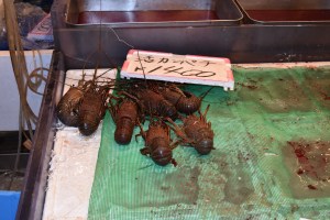 Crayfish about AUD$17/kg