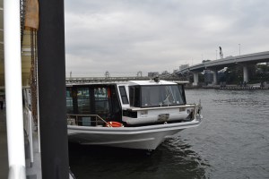 Our boat for the trip