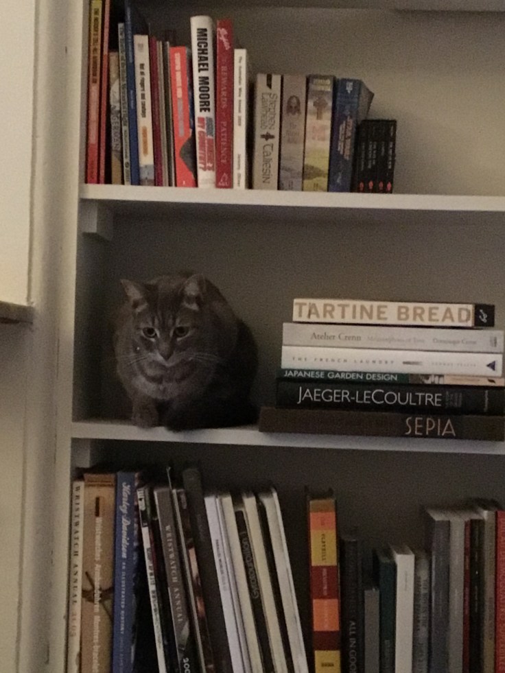 2622F0AE-04C5-4824-AD00-F314FBC22FE6 (2)