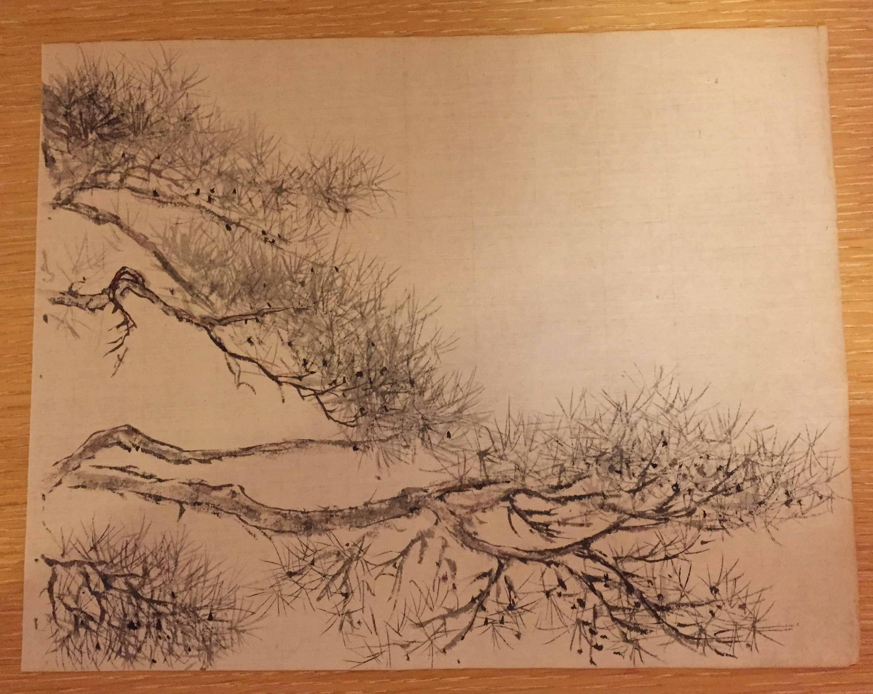 DB7A3630-D9D3-4F6C-99D2-2C985D254E6C